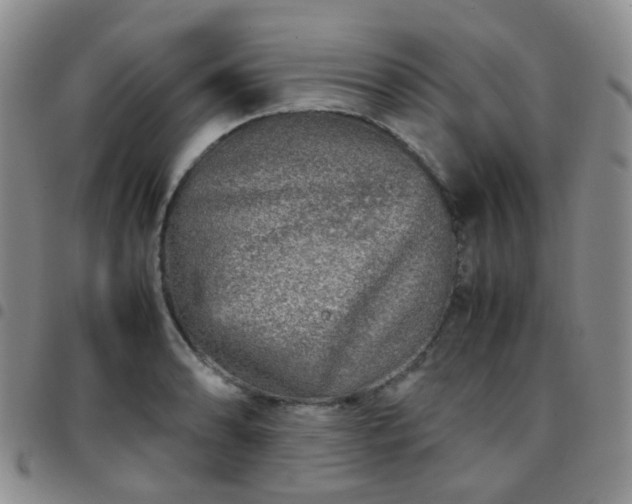 X0000097781086200803141802