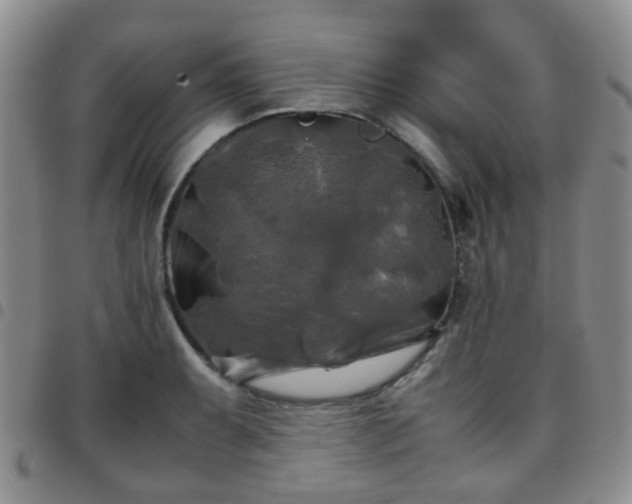 X0000097781087200803141802