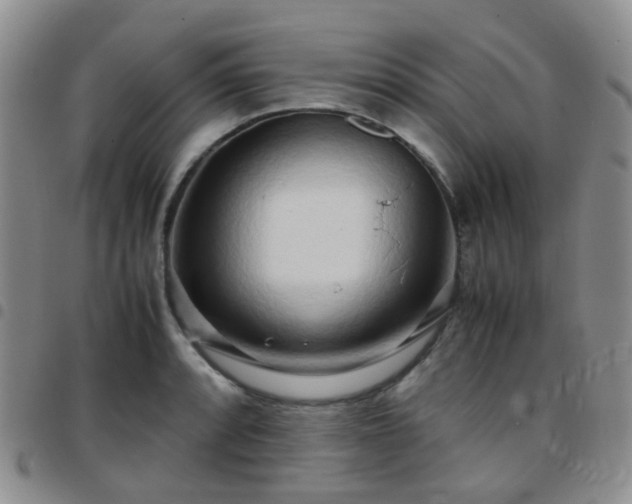 X0000097781088200803141802