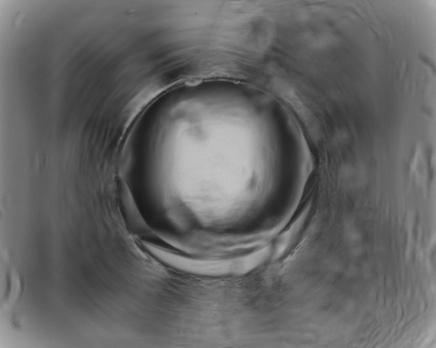 X0000097781089200803141802