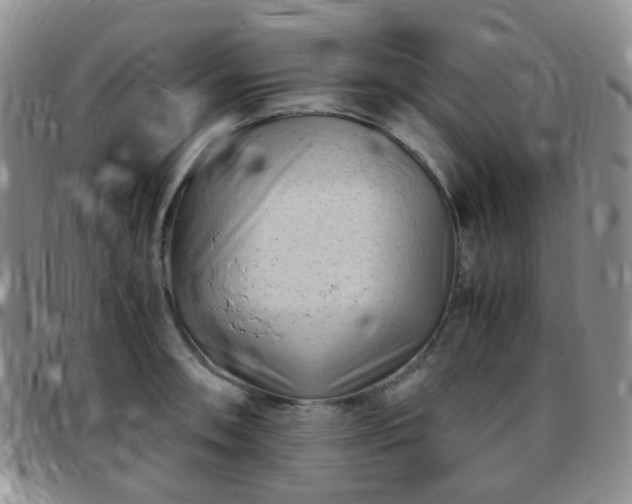 X0000097781090200803141802