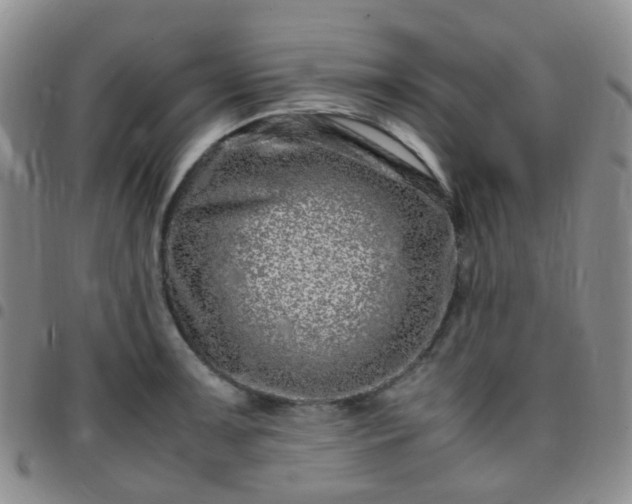 X0000097781091200803141802