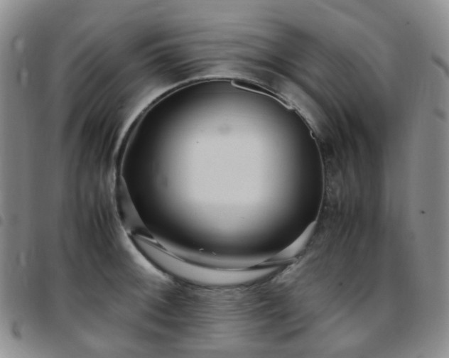 X0000097781092200803141802