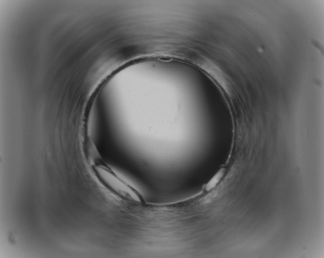 X0000097781093200803141802