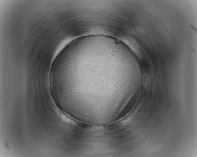 X0000097781094200803141802
