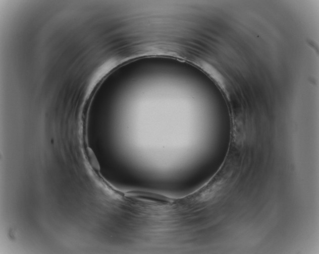 X0000097781096200803141802