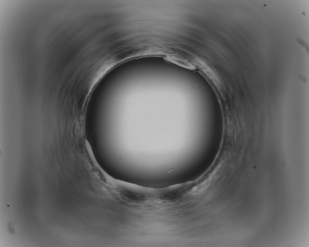 X0000097781097200803141802