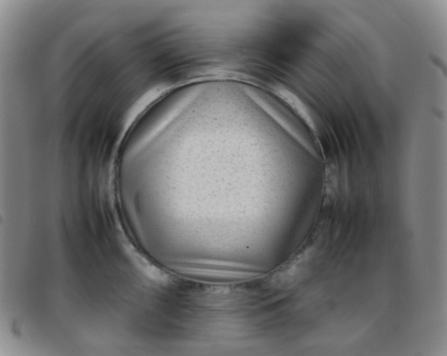 X0000097781098200803141802