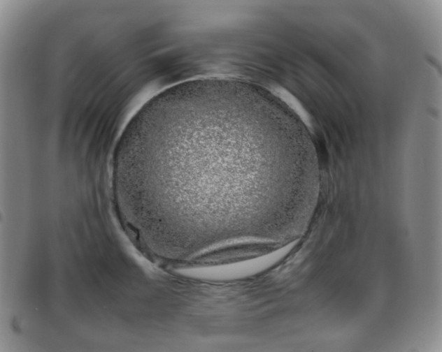 X0000097781099200803141802