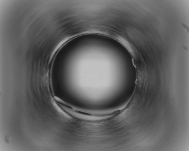 X0000097781100200803141802