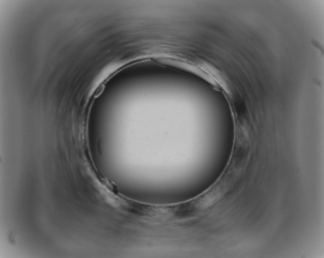 X0000097781101200803141802