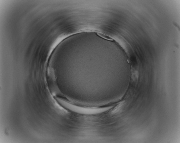 X0000097781102200803141802