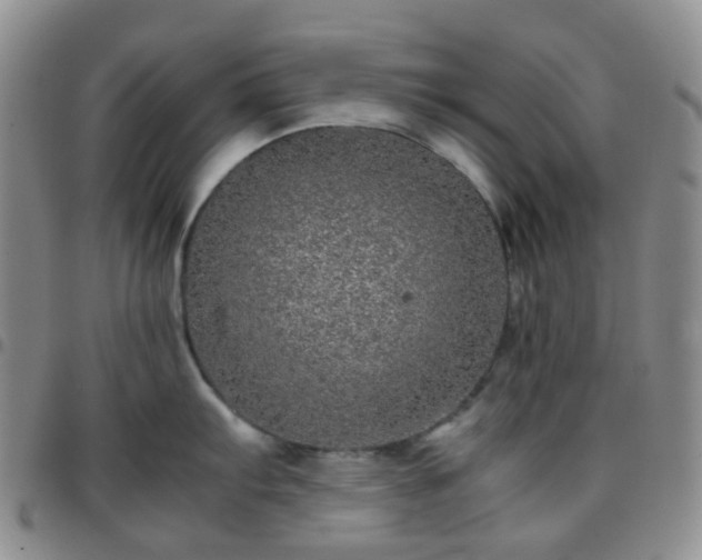 X0000097781103200803141802