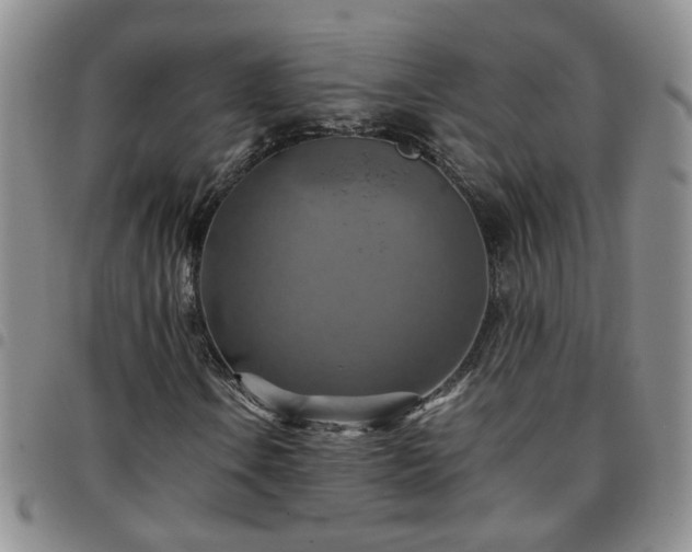 X0000097781106200803141801