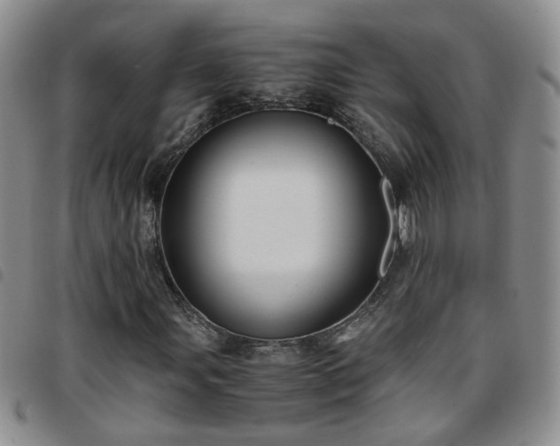 X0000097781107200803141801