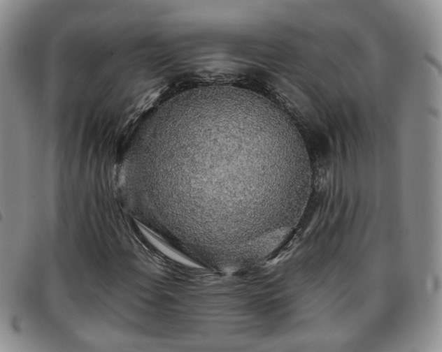 X0000097781108200803141801