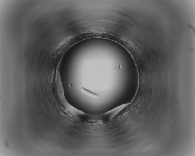 X0000097781110200803141801