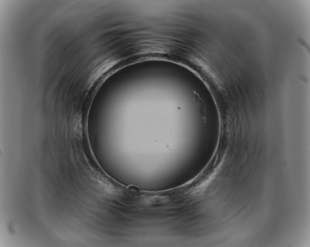 X0000097781113200803141801