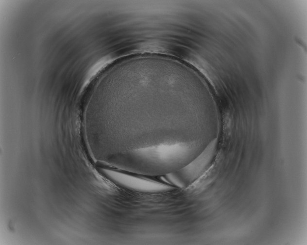 X0000097781115200803141801