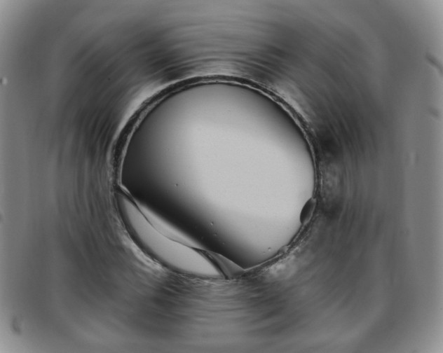 X0000097781116200803141801