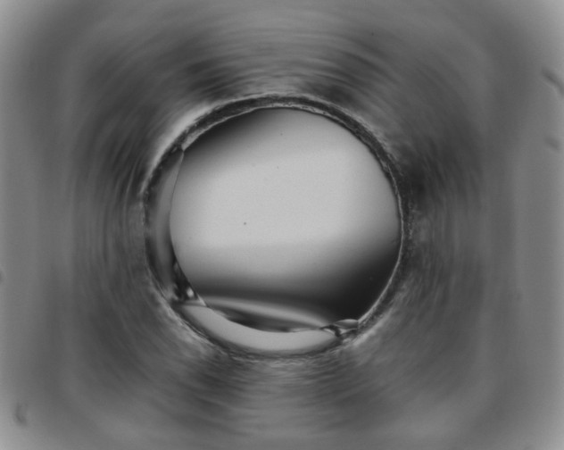 X0000097781118200803141801