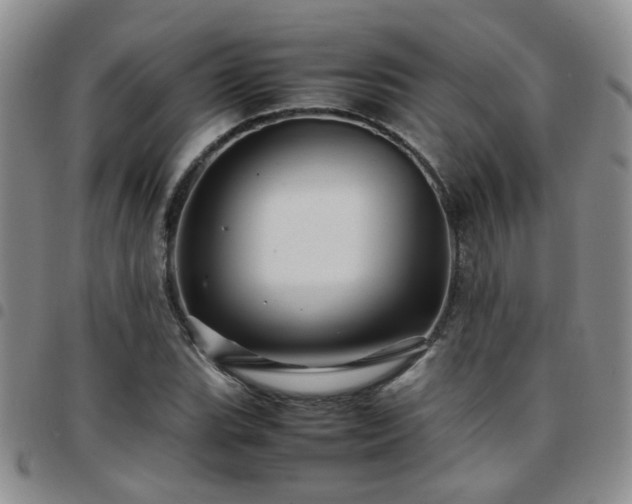X0000097781119200803141801