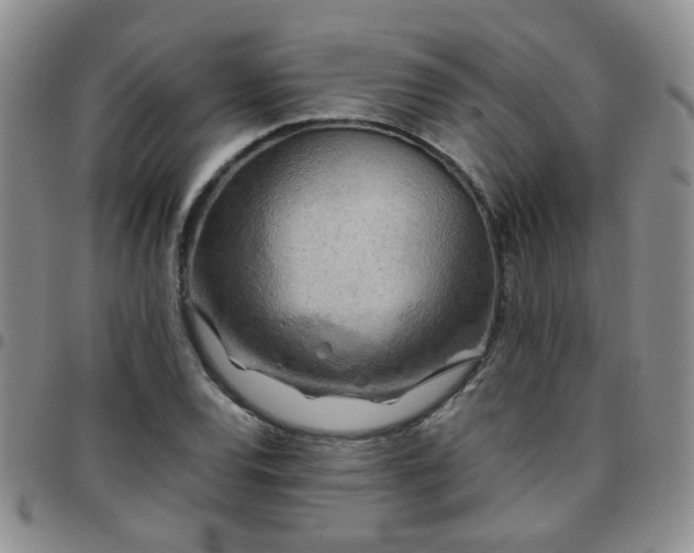 X0000097781120200803141801