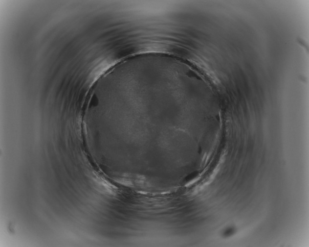 X0000097781121200803141801
