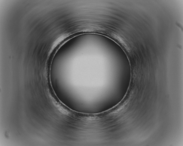 X0000097781122200803141801