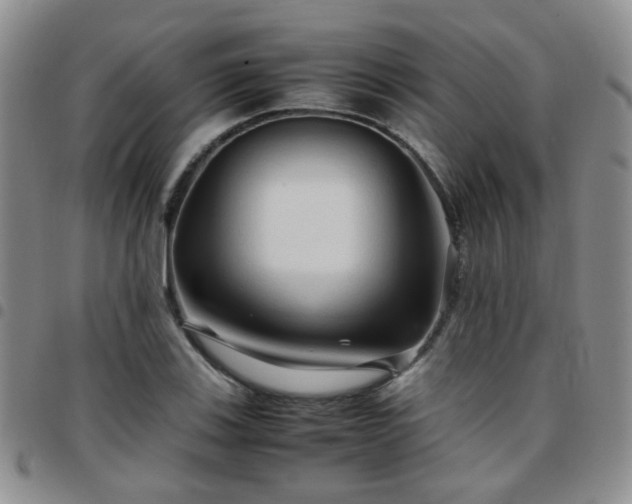 X0000097781123200803141801