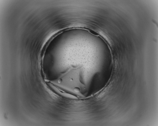 X0000097781124200803141801