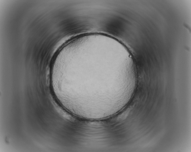 X0000097781126200803141801