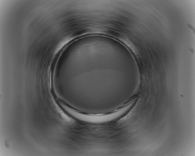 X0000097781127200803141801
