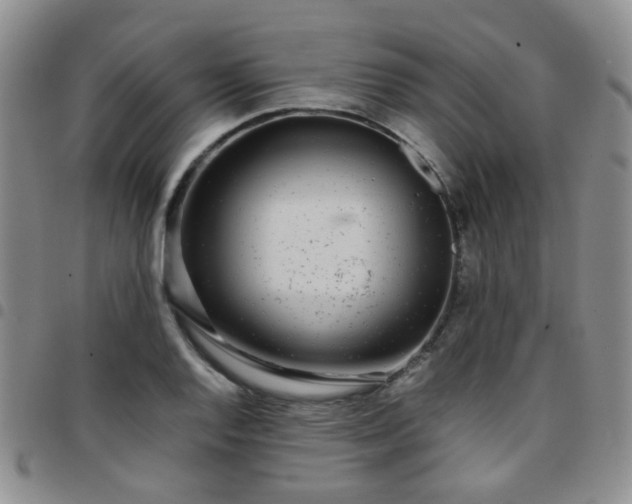 X0000097781128200803141801
