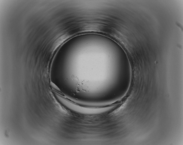 X0000097781129200803141801