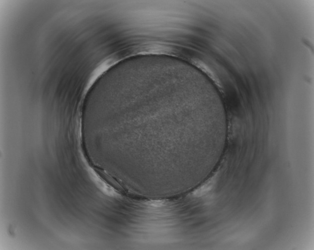 X0000097781130200803141801