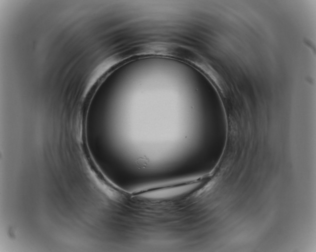 X0000097781131200803141801