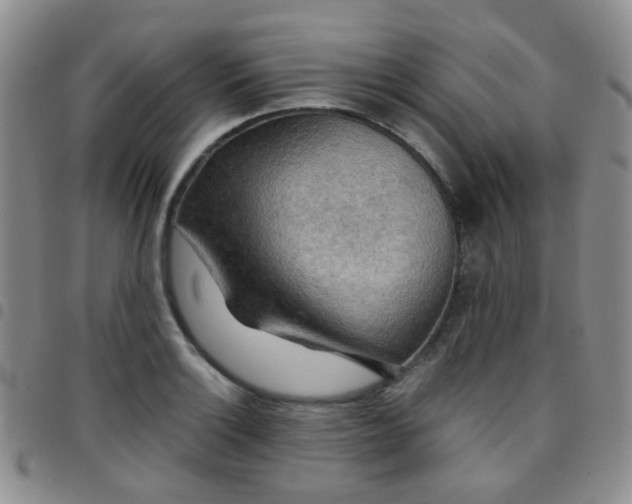 X0000097781132200803141801