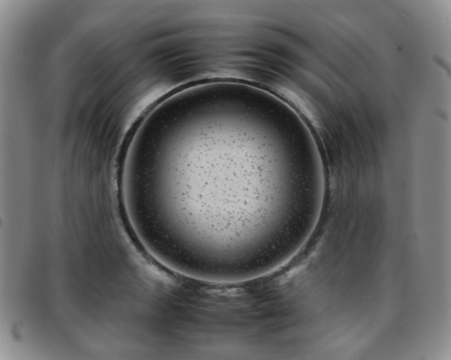 X0000097781133200803141801