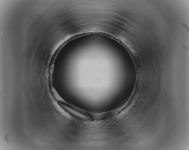 X0000097781134200803141801