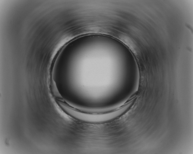 X0000097781136200803141802