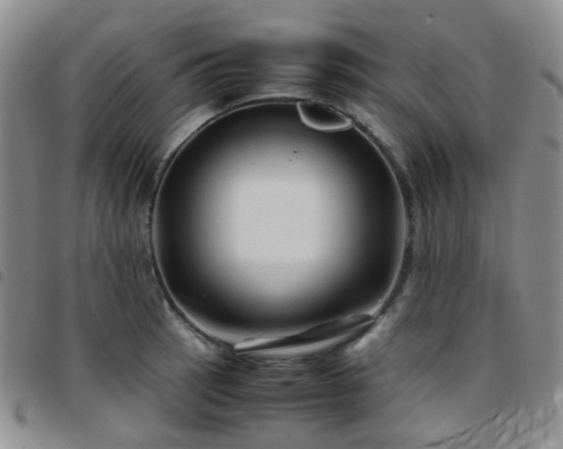 X0000097781137200803141802