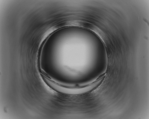 X0000097781139200803141802
