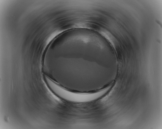 X0000097781141200803141802