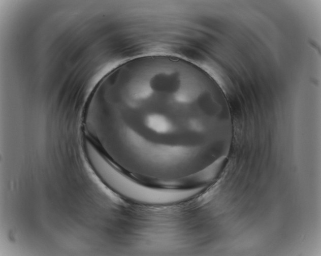 X0000097781142200803141802