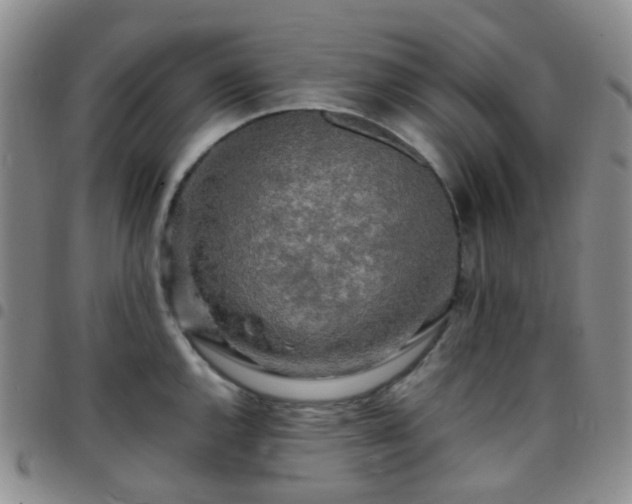 X0000097781144200803141802