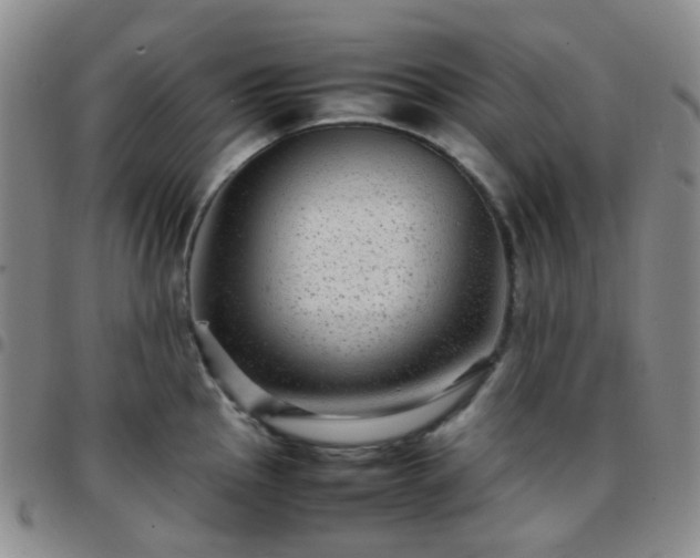 X0000097781145200803141802