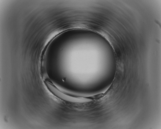 X0000097781147200803141802