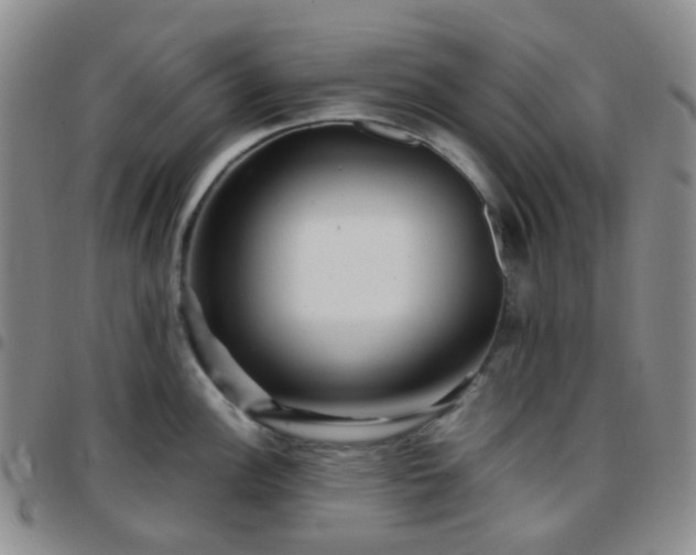 X0000097781148200803141802
