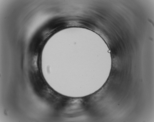 X0000097781150200803141802